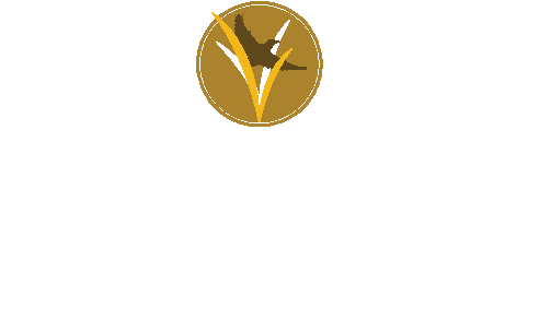 Lark View Village logo